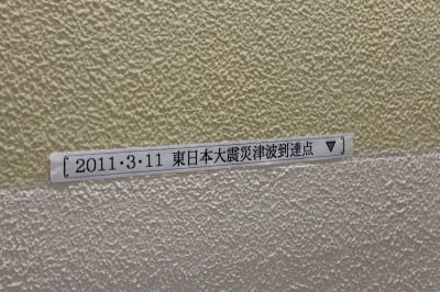 �Ôg�̓��B��������